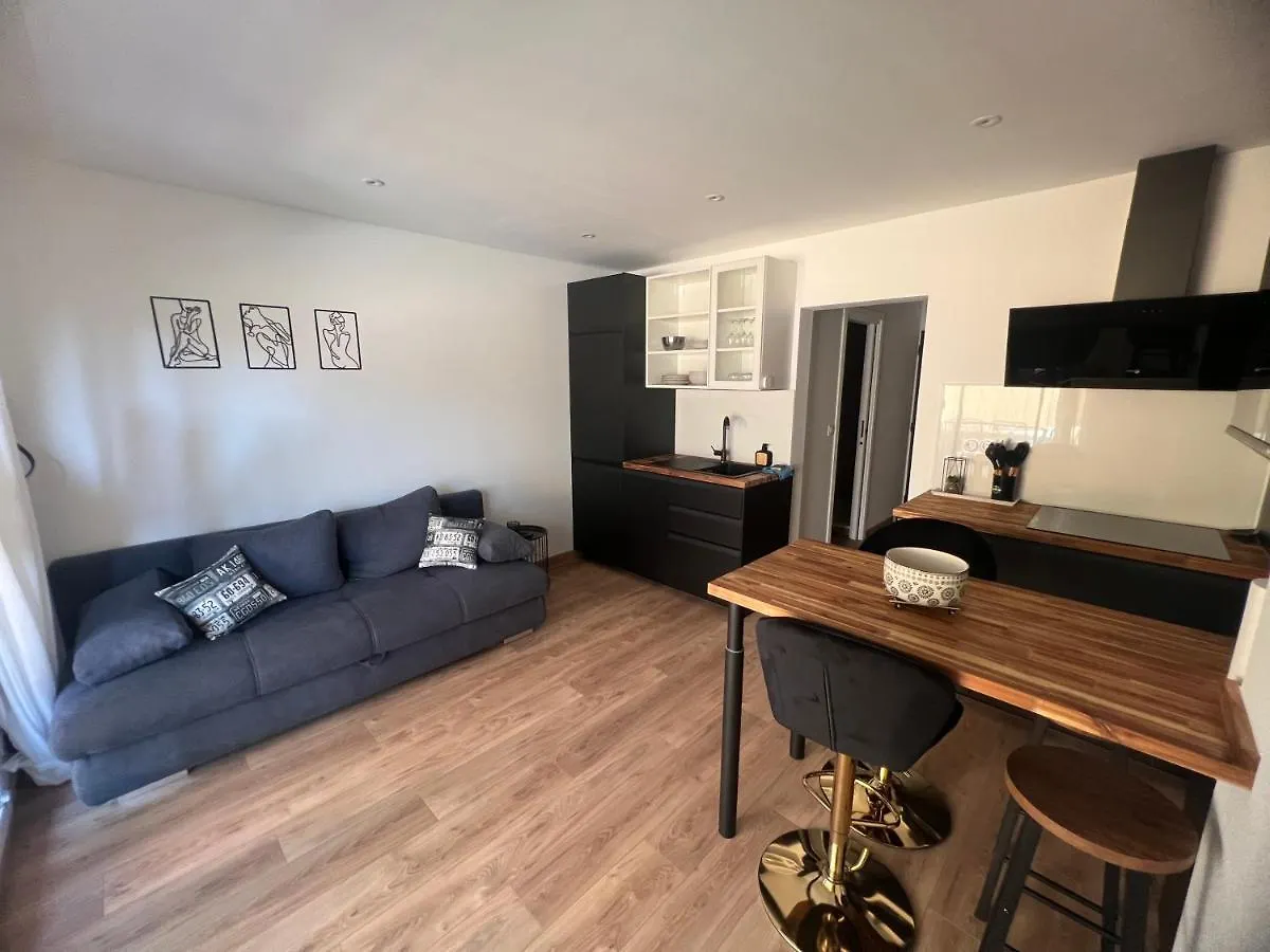Papillon De Cimiez Apartment Nice